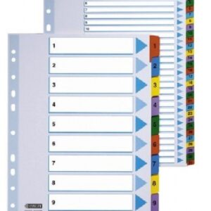 Partition sheets Esselte Mylar, A4, numbers 1-31, colored, plastic 0807-113