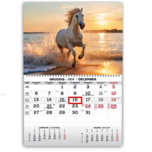 Wall Mounted Calendar Mono 30x43cm.